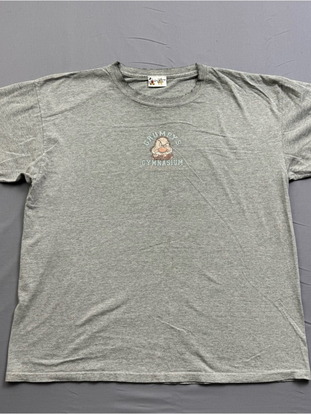Walt Disney World Grumpy Gray Adult Unisex T-Shirt‎ Size XL Disney Franchise